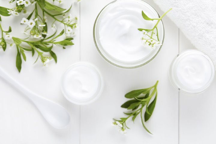 Image with creame and some green plant